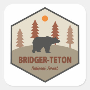 Bridger-Teton National Forest Bear Square Sticker