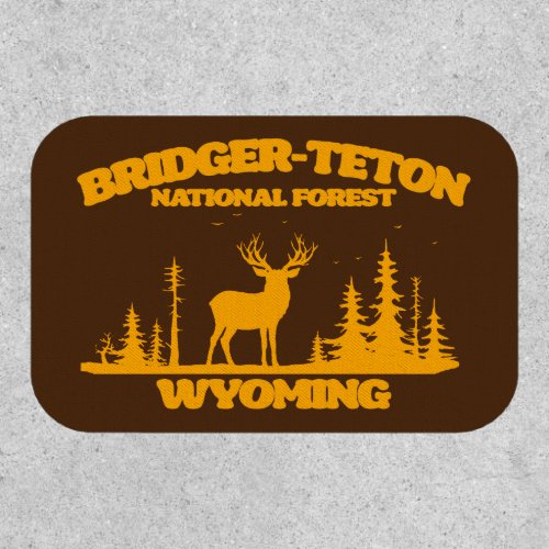 Bridger_Teton National Forest Patch