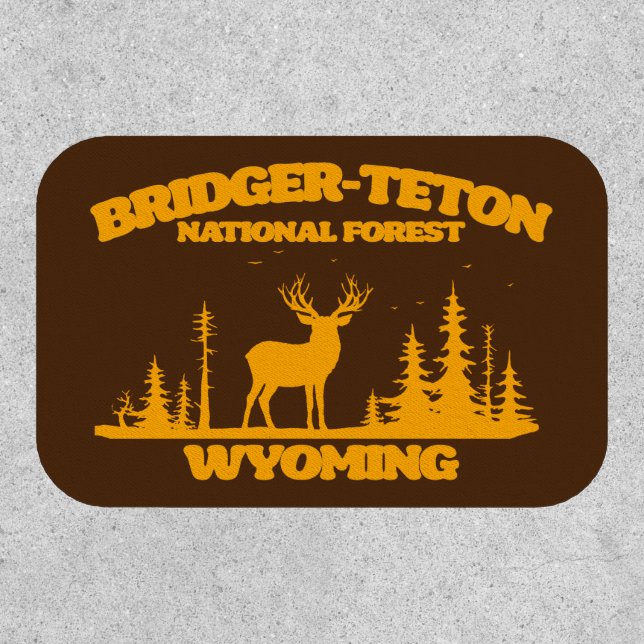 Bridger-Teton National Forest Patch (Front)