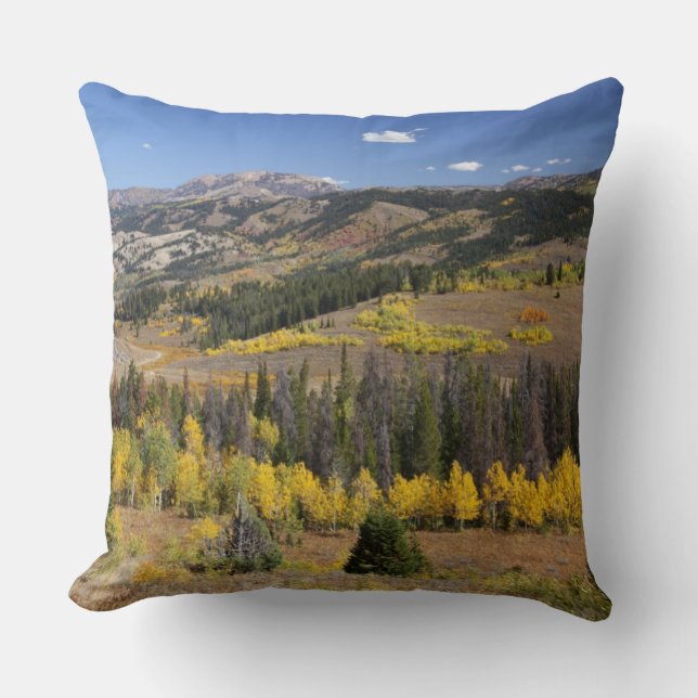 Bridger-Teton National Forest Throw Pillow (Front)