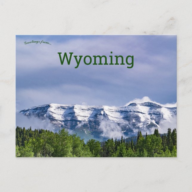 Bridger Teton National Forest Wyoming Postcard (Front)