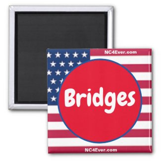 Bridges Patriotic Magnet