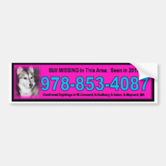 bridgett bumper sticker pink