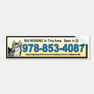 Bridgett Bumper Sticker yellow