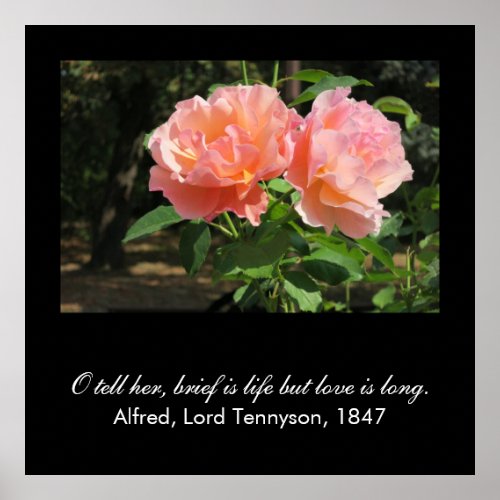 Brief is life but love is long Alfred Tennyson Poster