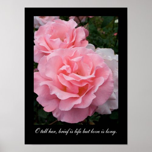 Brief is life but love is long Tennyson quote Poster