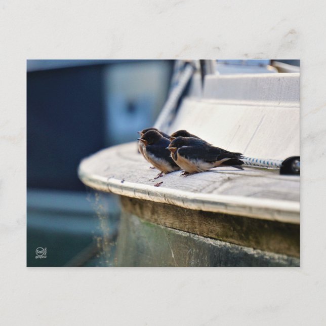 Briefcard Postcard (Front)