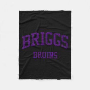 Briggs High School Hs Columbus Graphic Art Fleece Blanket