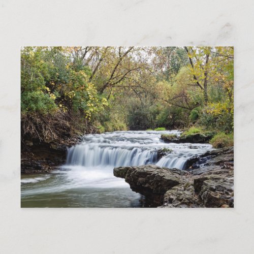 Briggs Woods Lower Waterfall Postcard