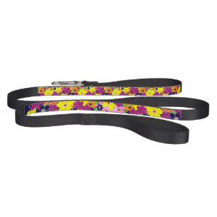 Bright Abstract Flower Art Pet Leash