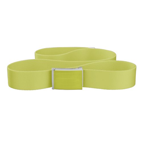 Bright Acidic Green Fragile Sprout Solid Color Belt
