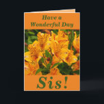 Bright and Bold Floral Birthday Card for Sis<br><div class="desc">Bright Alstroemeria flowers (Peruvian lilies) make a great image for this colourful birthday card for Sis.  Text can be easily personalized if wished.</div>