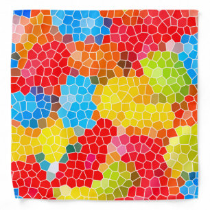 Bright and Colorful Bandana