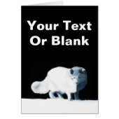 Bright Arctic Fox Cards (Front)