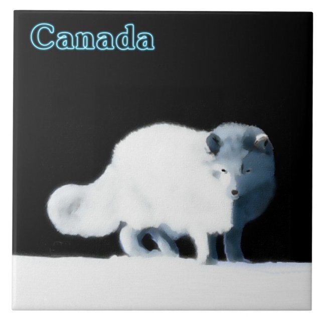 Bright Arctic Fox Ceramic Tile (Front)