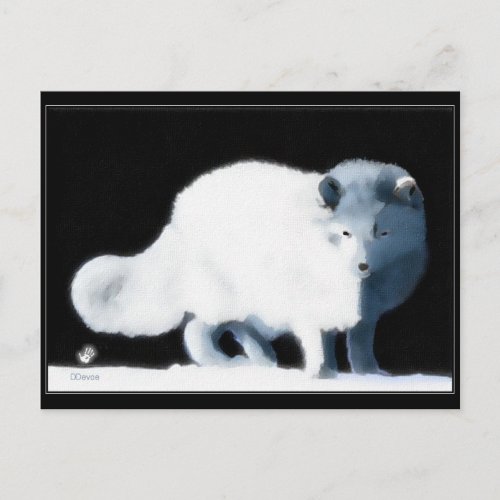 Bright Arctic Fox Postcard