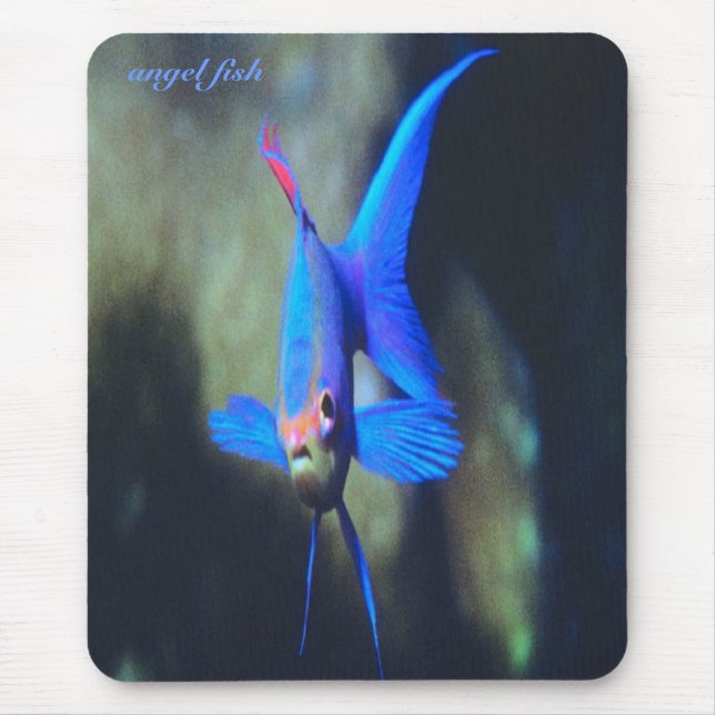 Bright-blue-angel fish, mousepad (Front)