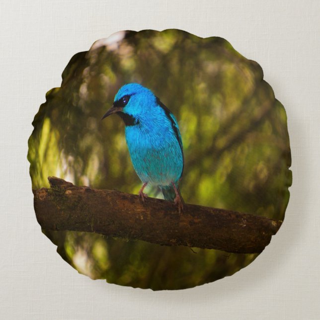 Bright Blue Bird Round Pillow (Front)