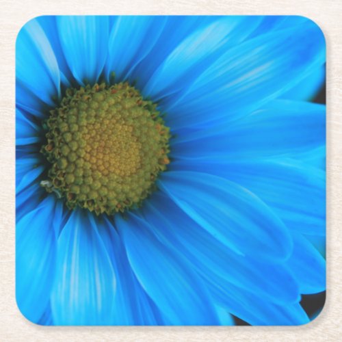 Bright Blue Daisy Square Paper Coaster