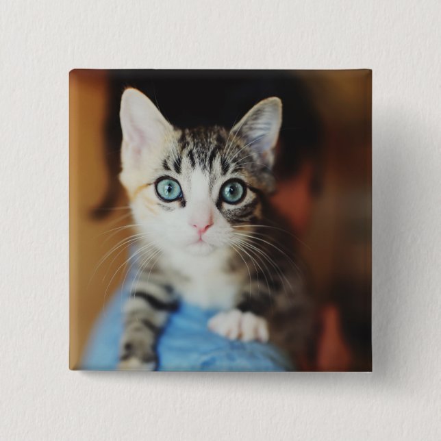 Bright Blue Eyed Kitten Pinback Button (Front)