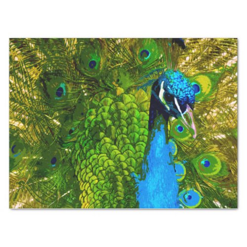 Bright Blue  Green Peacock Feathers Colorful Bird Tissue Paper