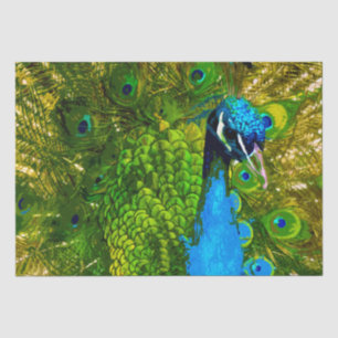 Bright Blue & Green Peacock Feathers Colorful Bird Tissue Paper