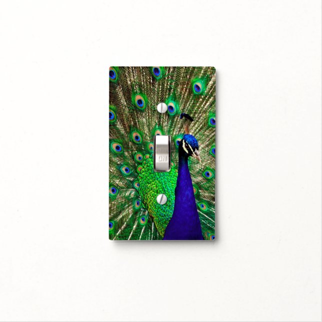 Bright Blue Green Peacock Light Switch Cover (In Situ)