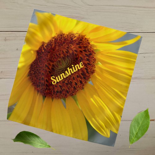 Bright Bold Big Yellow Sunflower Customizable Bandana