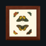 Bright Butterflies by Pieter Cramer Keepsake Box<br><div class="desc">These bright butterflies are extremely colorful in their presentation. An amazing piece by Pieter Cramer,  it would make an excellent gift for the nature lover in your life!</div>