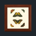 Bright Butterflies by Pieter Cramer Keepsake Box<br><div class="desc">These bright butterflies are extremely colorful in their presentation. An amazing piece by Pieter Cramer, it would make an excellent gift for the nature lover in your life!</div>