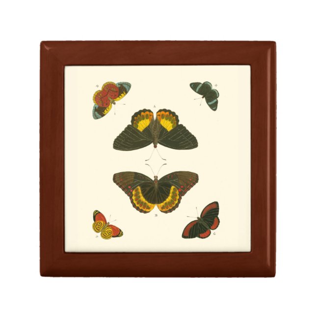 Bright Butterflies by Pieter Cramer Keepsake Box (Front)
