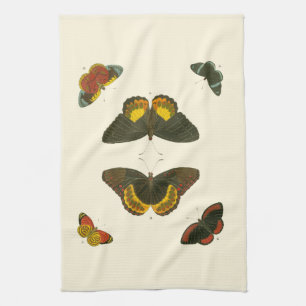 Bright Butterflies by Pieter Cramer Kitchen Towel