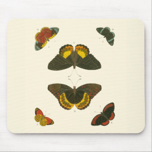 Bright Butterflies by Pieter Cramer Mouse Pad