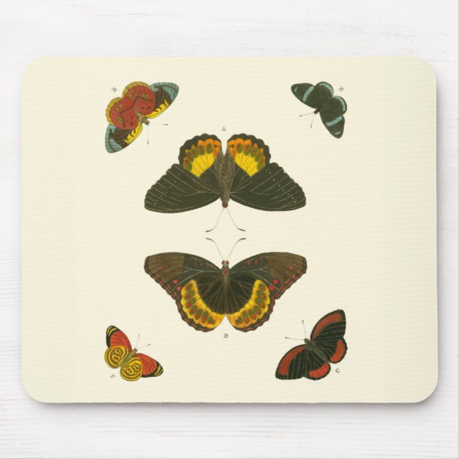 Bright Butterflies by Pieter Cramer Mouse Pad (Front)