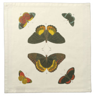 Bright Butterflies by Pieter Cramer Napkin
