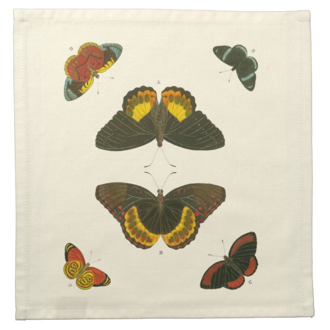 Bright Butterflies by Pieter Cramer Napkin (Front)