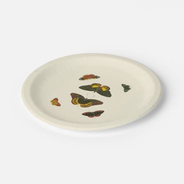 Bright Butterflies by Pieter Cramer Paper Plates (Angled)