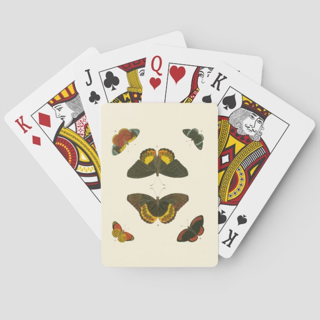 Bright Butterflies by Pieter Cramer Poker Cards (Back)