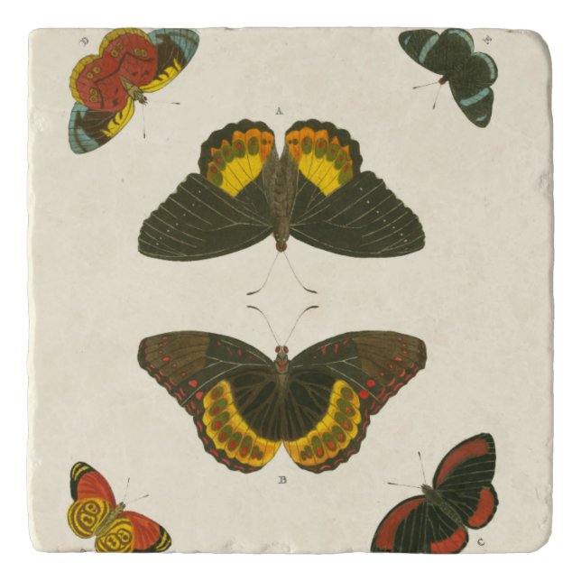 Bright Butterflies by Pieter Cramer Trivet (Front)