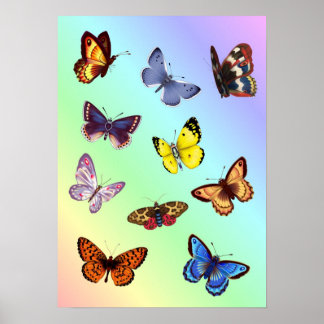 Bright Butterflies Poster