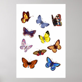 Bright Butterflies Poster