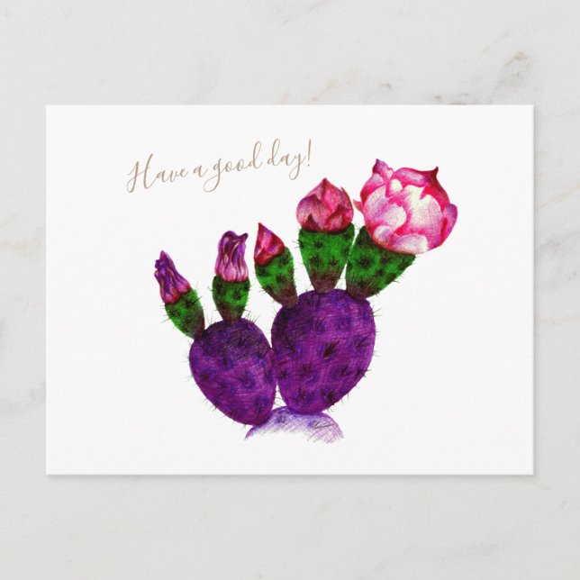 Bright Cactus with Flower Pen Drawing Botanical Postcard (Front)