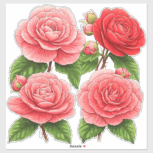 Bright Camellia Rose Bouquet Sticker