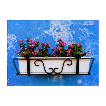 Bright Color Vintage Flower Acrylic Wall Art Panel by photoedit at Zazzle