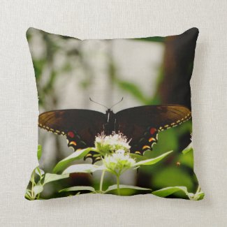 Bright colored spots Black butterfly Throw Pillow