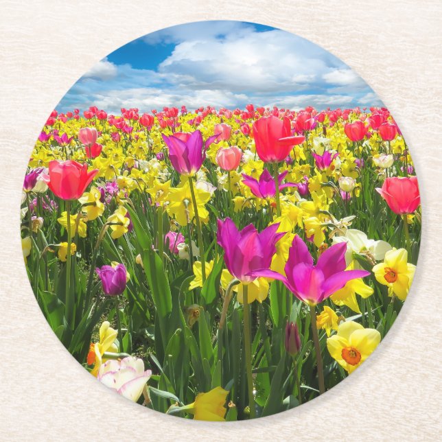 Bright Colored Tulip Coaster (Front)