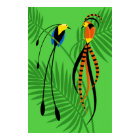 Bright Colorful Birds of Paradise