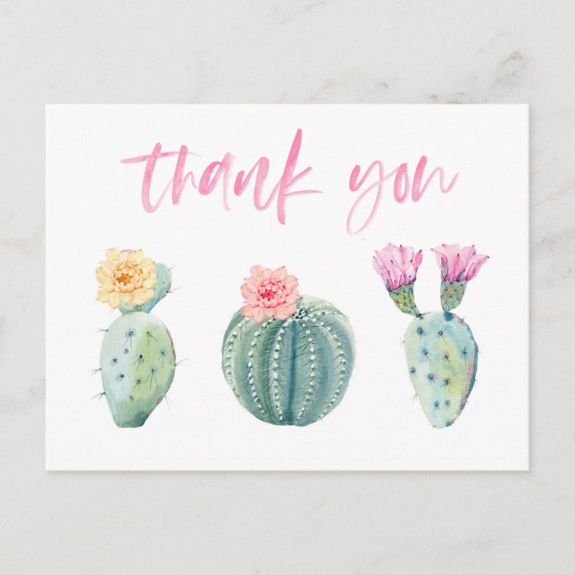 Bright colorful cacti thank you note girlfriends postcard (Front)