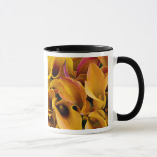 Bright colorful calla lilies at the mug