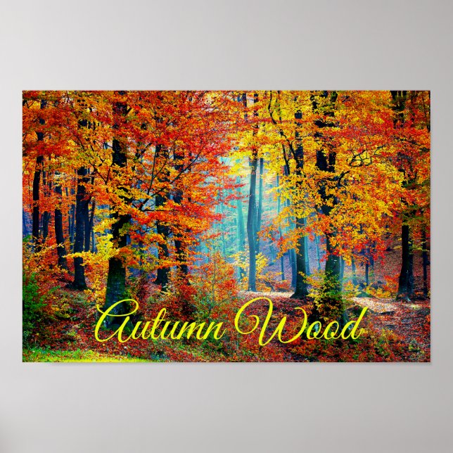Bright Colorful Fall Forest Trees Poster (Front)